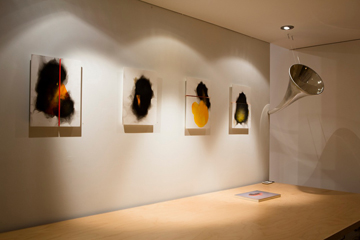 Rob Tarbell's Bird-like Things in Things Like Trees exhibition installation at Les Yeux du Monde Art Gallery